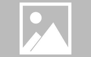 安庆斑马网站高清素材视频（斑马视频最新版）